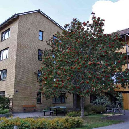 4 RUM KÖK - Photo 3