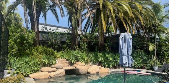 Brand-New Granny Flat for Rent - Located in Daisy Hill - Photo 2