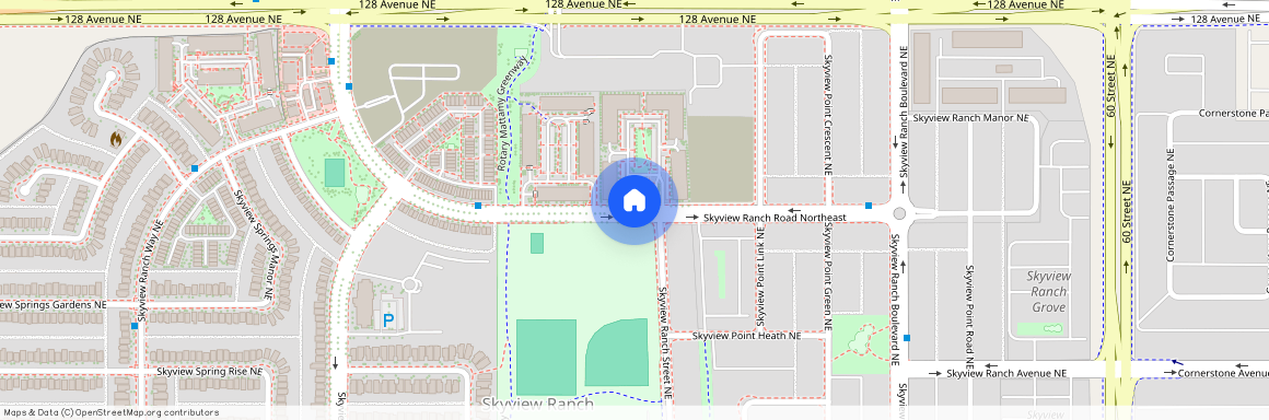 Skyview Ranch Rd NE, Calgary