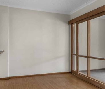 Sunny Two Bedroom Apartment in Merivale - Photo 5