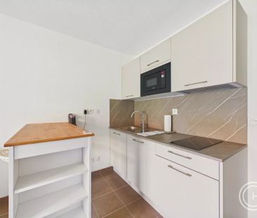 Location Appartement 1 pièce 24m² NICE 06300 - Photo 3