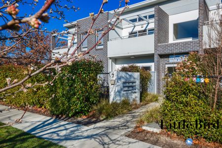 8/7 Lowanna Street, Braddon ACT 2612 - Apartment For Rent | Domain - Photo 5