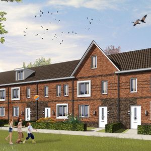 Zilverstreepzoom 9 - Photo 2