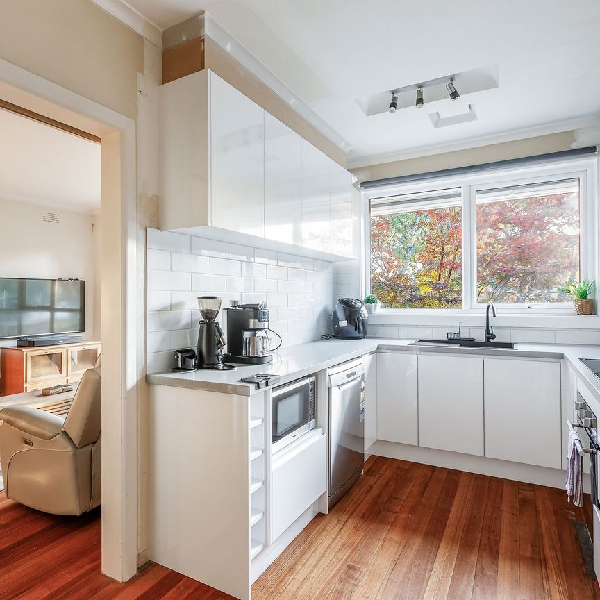 Perfectly Positioned, Light-Filled Home in the Heart of Canterbury - Photo 1