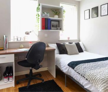 Classic Studio - Photo 5