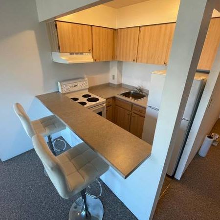 Metrotown | Bright, Upper Floor Bachelor with Patio - Photo 4