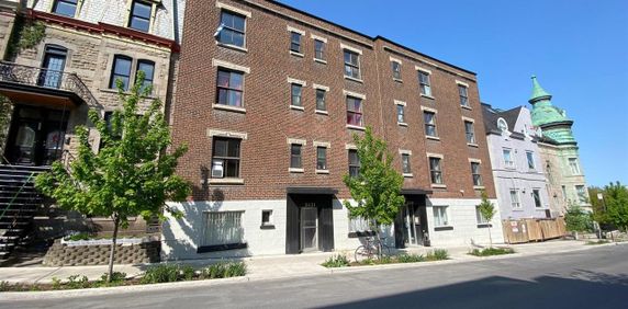 Studio (1.5) - 3429-3431 Rue St-Andre, Montréal - Photo 2