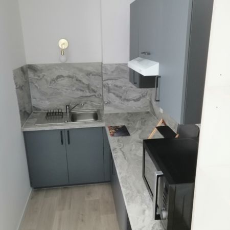 Location Appartement 1 pièce 20m² GEVEZE 35850 - Photo 3