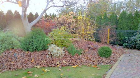 Do wynajęcia dom Osielsko - 109m2 - Фото 2