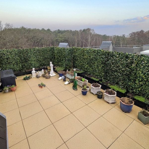 Monument Road, Woking, Surrey, GU21 - Photo 1