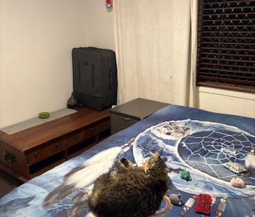 Alexandra Headland - Photo 4