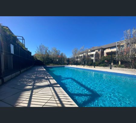 26 Brushbox Court, Clayton, Vic 3168 - Photo 3