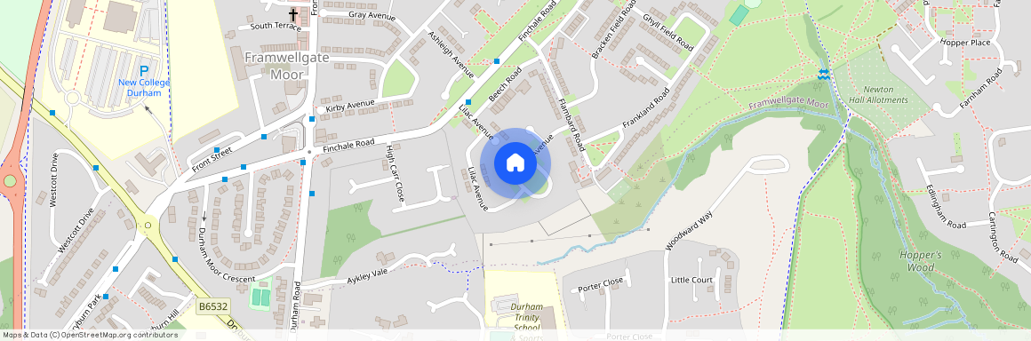Lilac Avenue, Framwellgate Moor, DH1 5JD