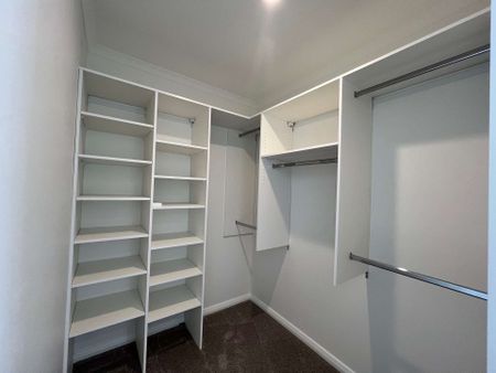 Petone 3 Bedrooms - Photo 4