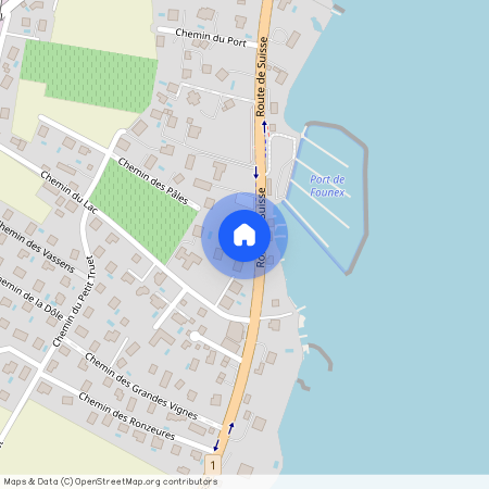 1297, Founex, Chemin De La Butte, 2