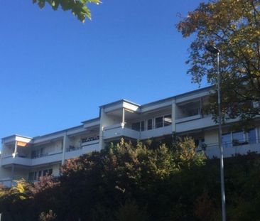 3.5 Zimmer Wohnung - Photo 3