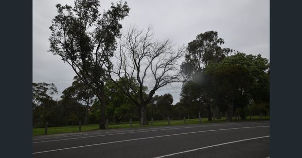 LOW MAINTENANCE LIVING IN A SOUGHT-AFTER CLIFTON HILL LOCATION - Photo 1