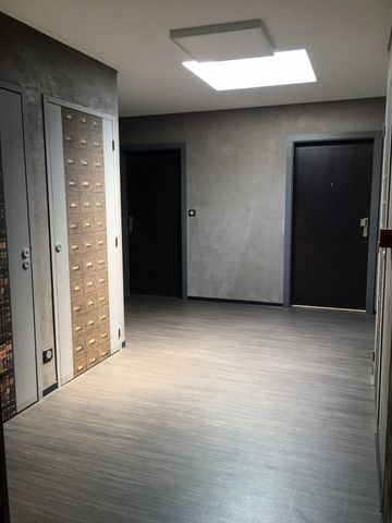 Appartement 1 pièce à Strasbourg - Photo 3