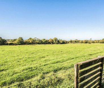 4 bedroom semi-detached house to rent - Photo 4