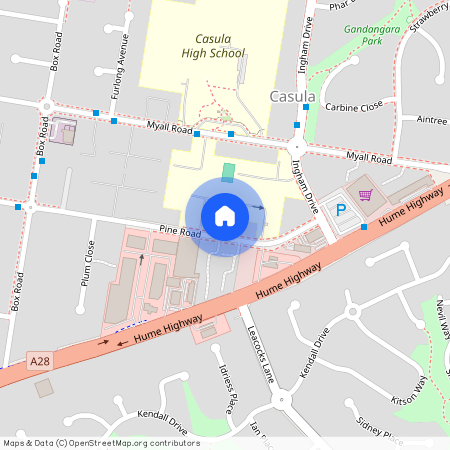 19a Pine Road, NSW 2170, Casula