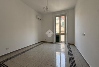 Trilocale in affitto