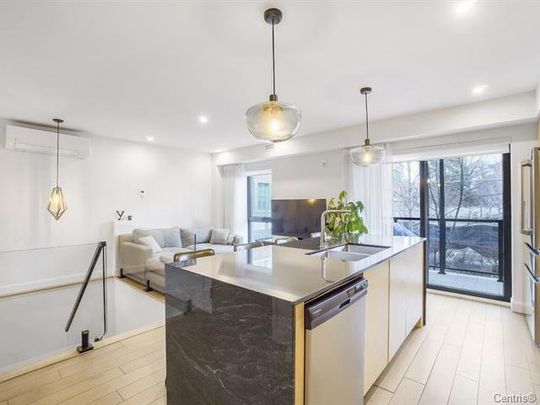 Appartement à louer - Montréal (Villeray/Saint-Michel/Parc-Extension) (Villeray) - Photo 1