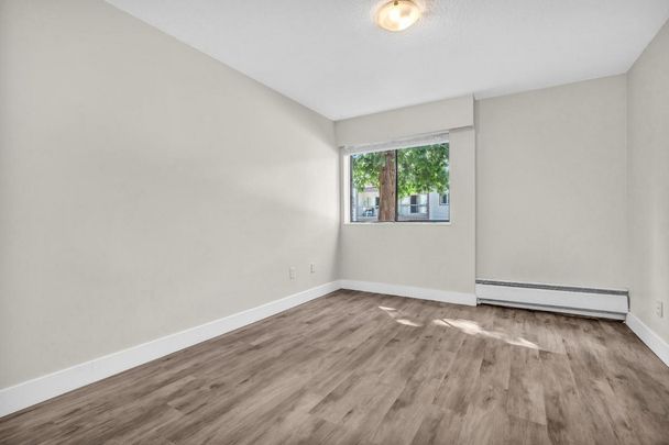 1 Bedroom - Renovated - Photo 1