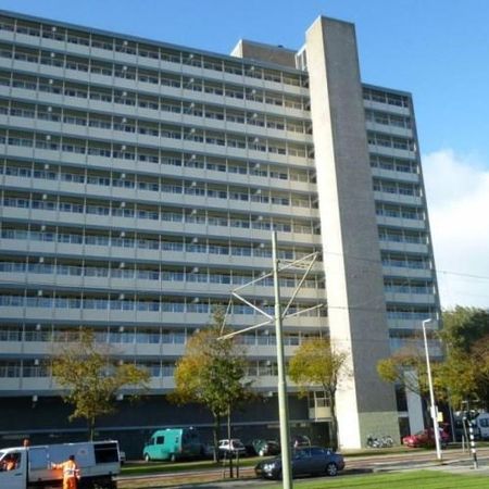Pisuissestraat, 2553 BA Den Haag, Nederland - Photo 3