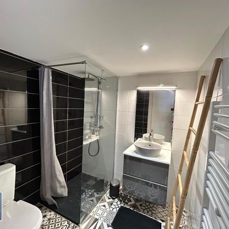 Location Appartement 1 pièce 24m² ST ETIENNE 42000 - Photo 4