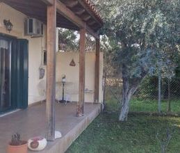 Μονοκατοικία για ενοικίαση - Ωρωπός, - Photo 5