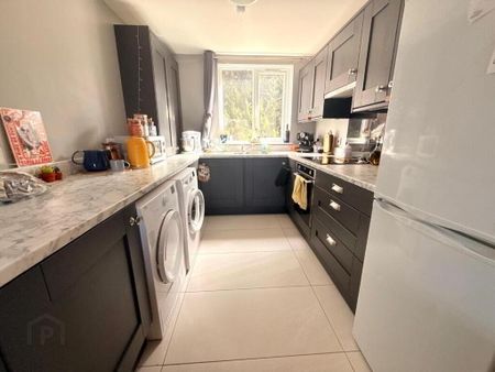 2b Windsor Court, Windsor Park, Belfast, BT9 6JE - Photo 5