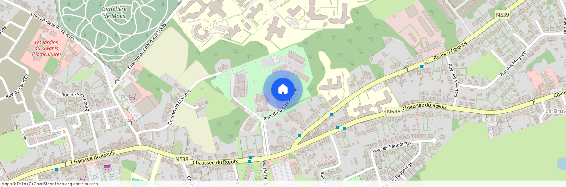 Parc De La Sablonnière, 6, 24, 7000, Mons