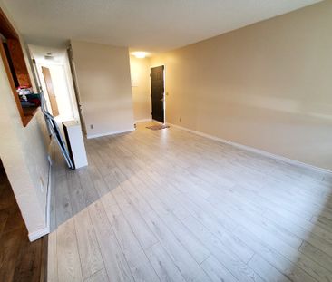 Beautifully Renovated 3 Bedroom Home - Photo 3