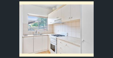 Charming & Spacious in Prime Firle Location - Photo 2