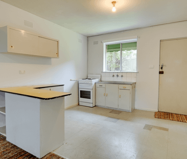 Spacious Downstairs Apartment - Photo 3