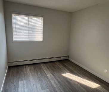 FULLY RENOVATED TWO BEDROOM ~ SMALL PET FRIENDLY! - Photo 6