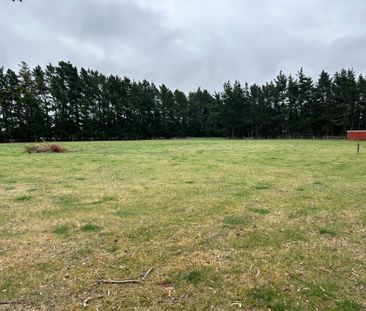 Lifestyle Property - Photo 6