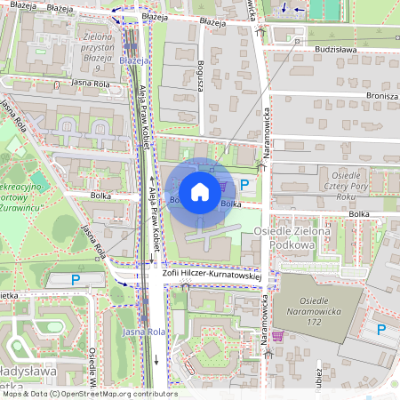 ul. Bolka, Naramowice, Stare Miasto, Poznań, wielkopolskie