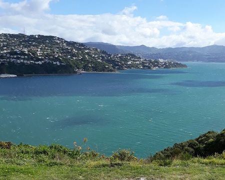 Living with sun and views - Photo 2