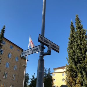 Hästhovsgatan 14 - Foto 3