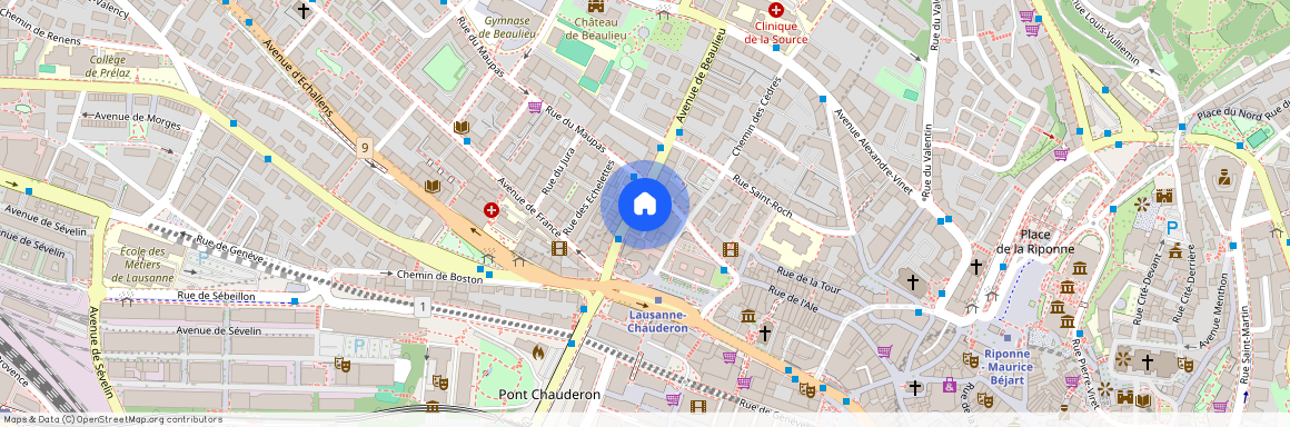 Rue du Maupas 15, 1004 LAUSANNE