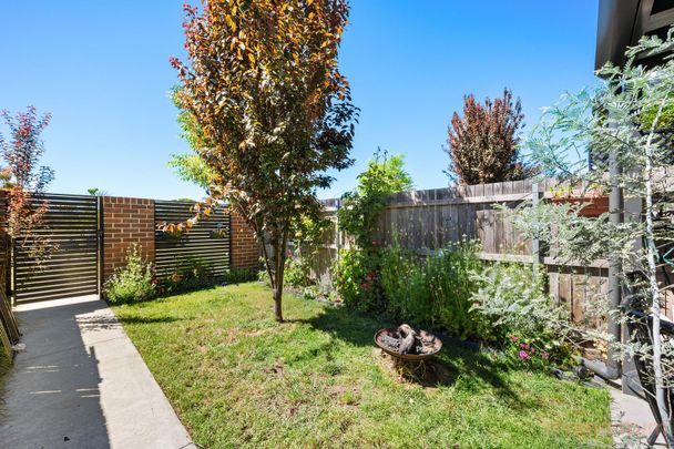 32/33 Braybrooke Street, Bruce ACT 2617 - Townhouse For Rent | Domain - Photo 1