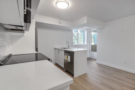 294 Somerset Street East - 101 - Photo 4