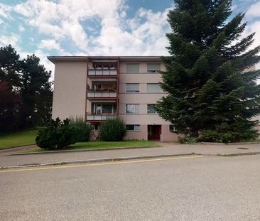 3.5 Zimmer, EG - Photo 5