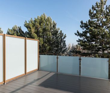 2.5 Zimmer, 54 m², 3. Stock - Photo 5