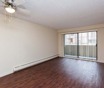 Harbourview Terrace Apartments - Bachelor - Photo 4