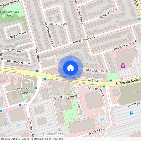 41 Hickorynut Drive #Ground #Unit A, Toronto, Pleasant View