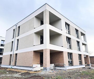 Im Innenring! - Photo 4