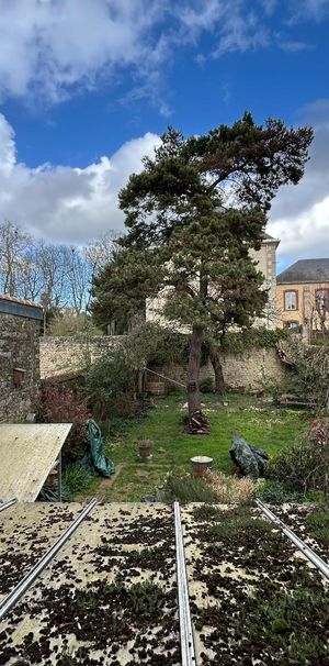 Location Appartement 1 pièce 12m² ALENCON 61000 - Photo 2