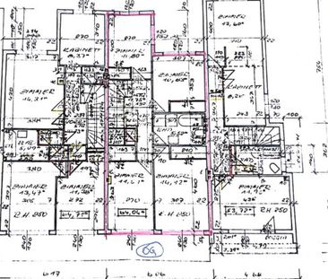 Wohnen im Grünen: Familienidylle direkt an der AIS Vienna - Photo 1